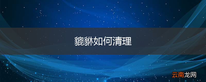 貔貅如何清理