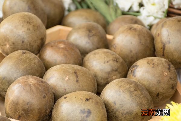 罗汉果花泡水喝的功效与作用 罗汉果花泡水喝的好处