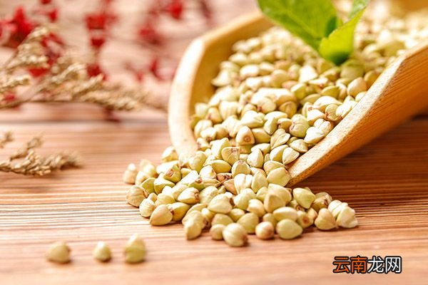 荞麦米的功效与作用 荞麦米的禁忌人群