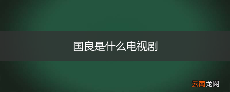 国良是什么电视剧