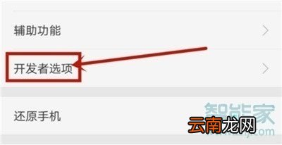 oppoa11x怎么打开开发者选项