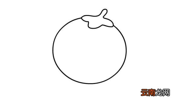 山竹简笔画