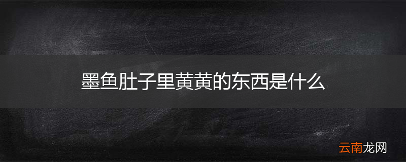 墨鱼肚子里黄黄的东西是什么