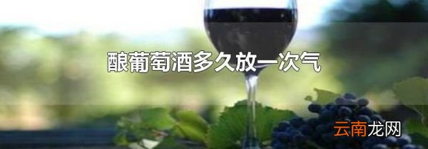 酿葡萄酒多久放一次气