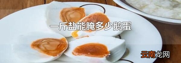 一斤盐能腌多少鹅蛋