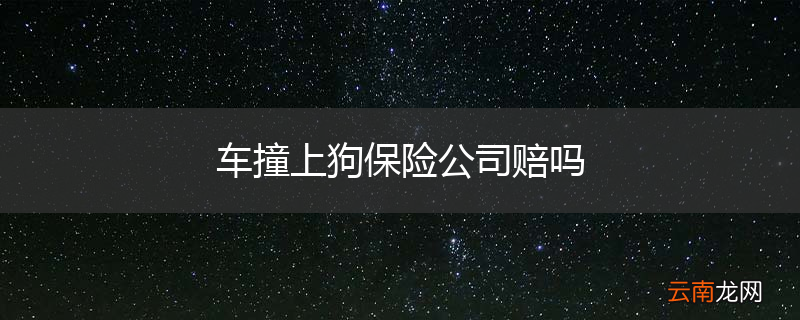 车撞上狗保险公司赔吗