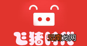 飞猪时代详细注册步骤介绍