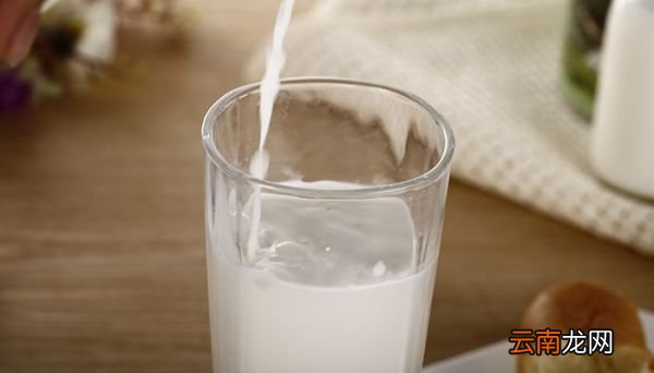 牛乳是什么 什么是牛乳
