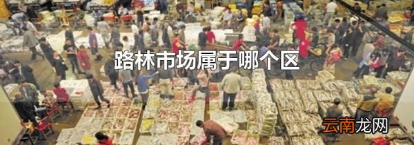 路林市场属于哪个区