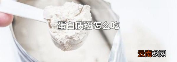 蛋白质粉怎么吃