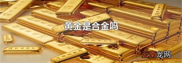黄金是合金吗