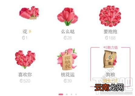 QQ狗粮能换钱吗?手机QQ狗粮多少钱?