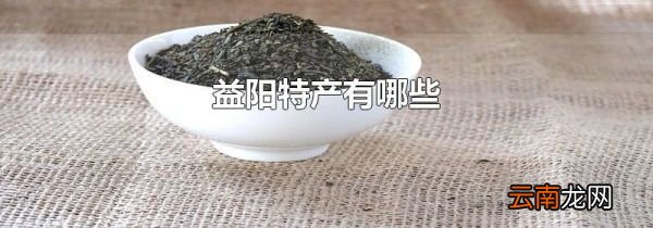益阳特产有哪些