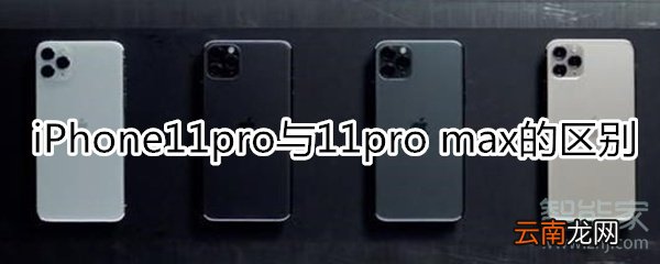 11pro与11pro max的区别