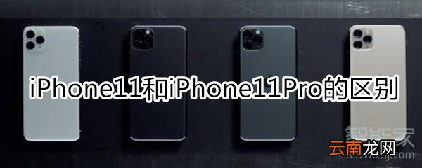 11 11pro区别