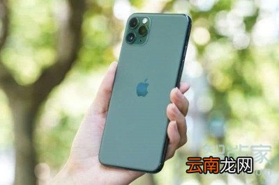 11 11pro区别