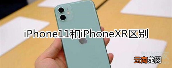 11和xr区别