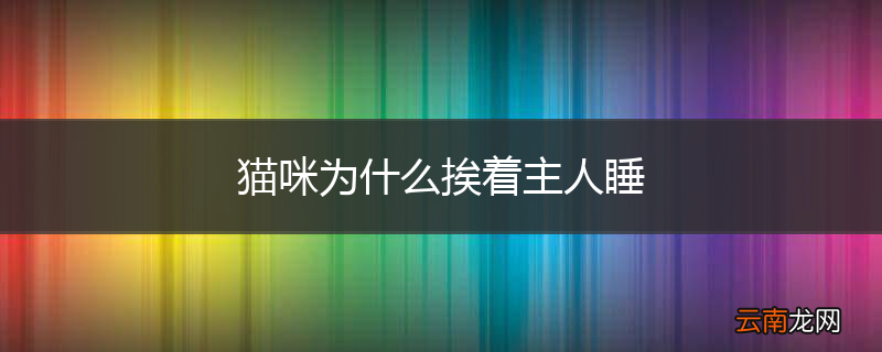 猫咪为什么挨着主人睡