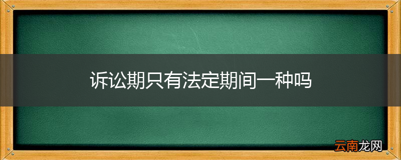 诉讼期只有法定期间一种吗