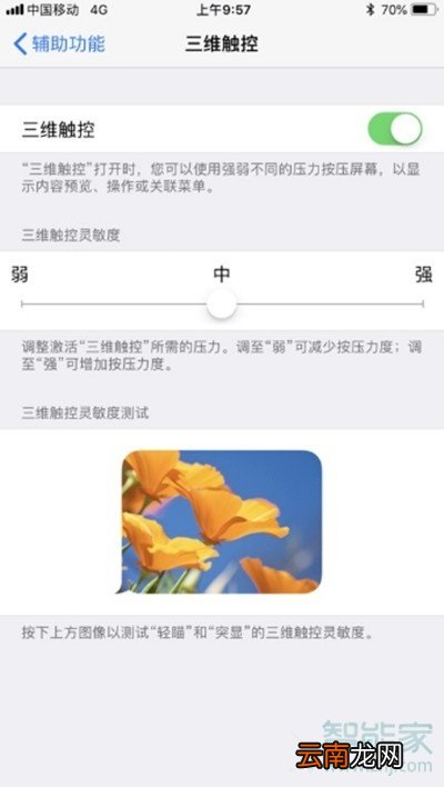 8p有3dtouch功能吗