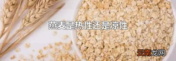 燕麦是热性还是凉性