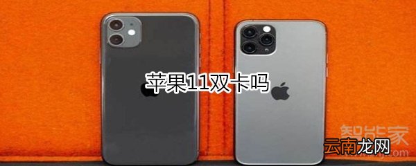 苹果11双卡吗