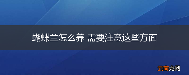 蝴蝶兰怎么养 需要注意这些方面