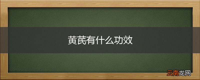 黄芪有什么功效
