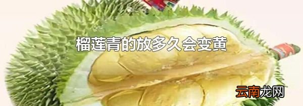 榴莲青的放多久会变黄