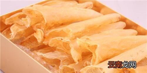 花胶是什么？