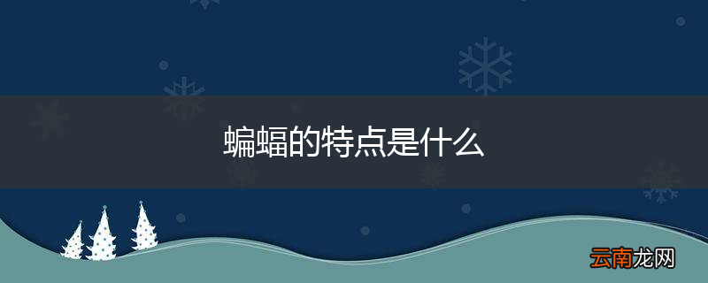 蝙蝠的特点是什么