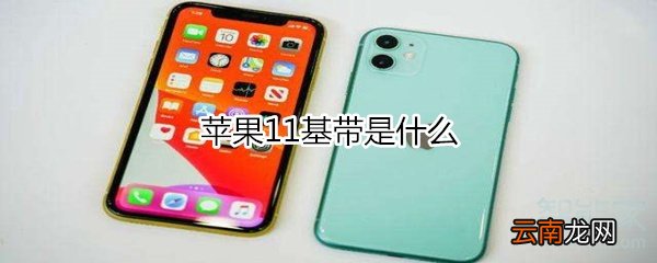 苹果11多大内存