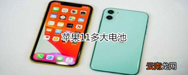 苹果11多大电池