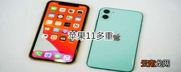 苹果11多重