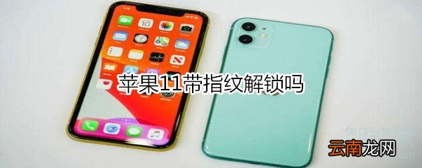 苹果11带指纹解锁吗