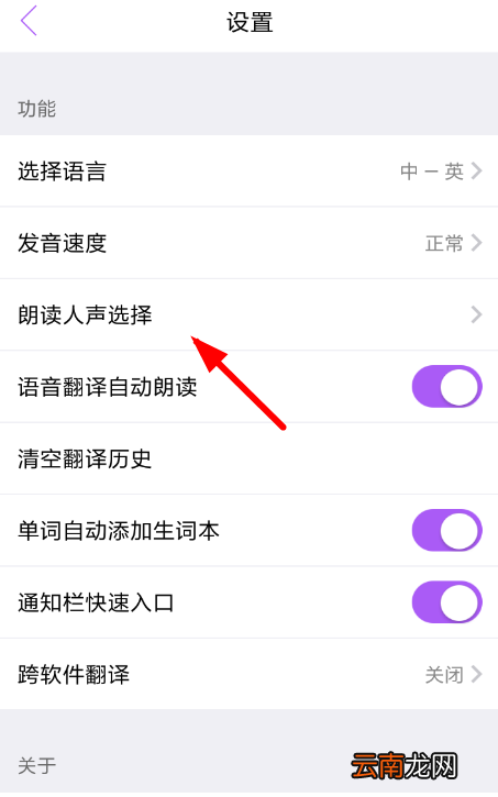 翻译君设置男声具体操作方法