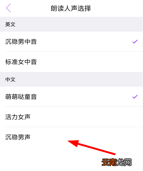 翻译君设置男声具体操作方法