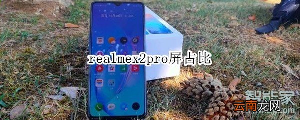 realmex2pro屏占比