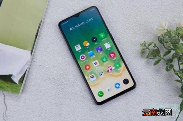realmex2pro屏占比