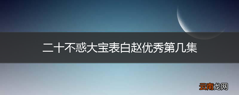 二十不惑大宝表白赵优秀第几集