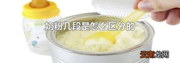奶粉几段是怎么区分的