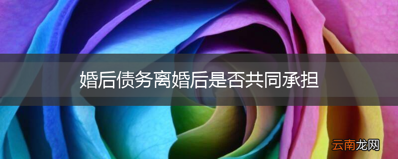 婚后债务离婚后是否共同承担