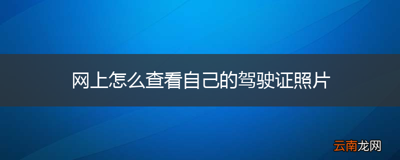 网上怎么查看自己的驾驶证照片