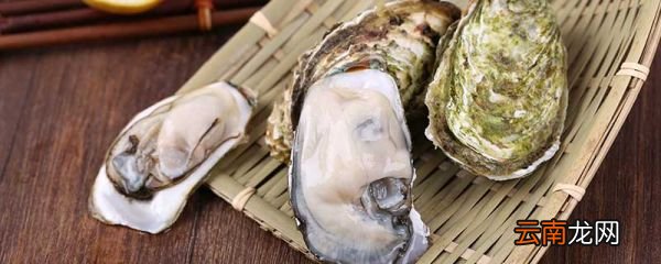 生蚝肉里的黑色东西是什么能吃吗 生蚝怎么清洗