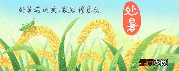 8月处暑吃什么 8月处暑吃啥