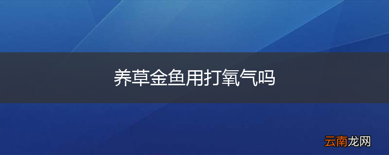 养草金鱼用打氧气吗