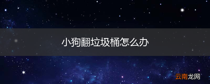 小狗翻垃圾桶怎么办