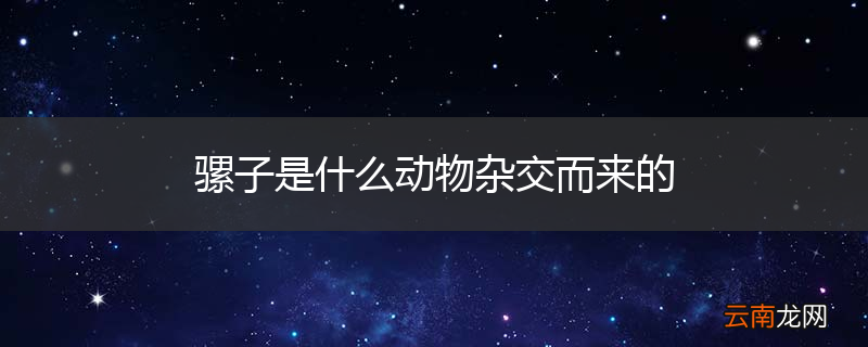 骡子是什么动物杂交而来的
