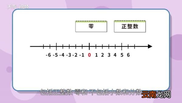 整数包括什么 整数包括什么数