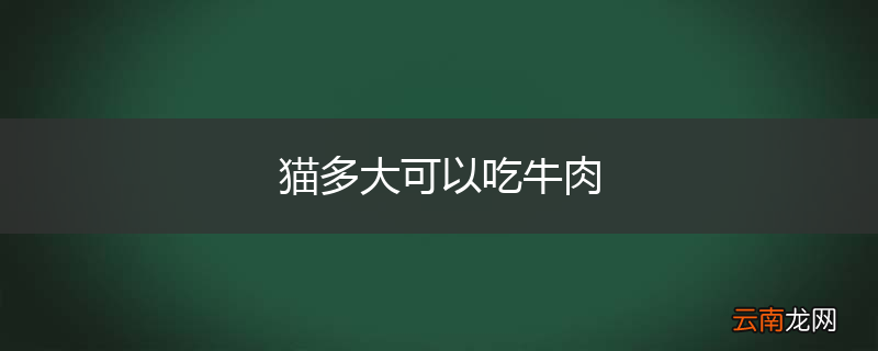 猫多大可以吃牛肉